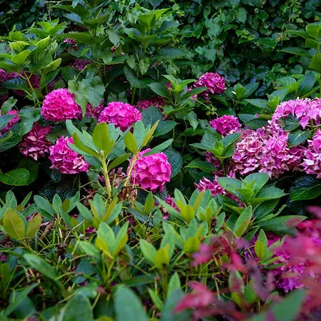 Vila El Caseron Del Pas