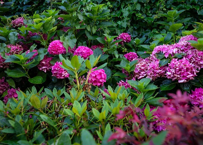 Villa El Caseron Del Pas